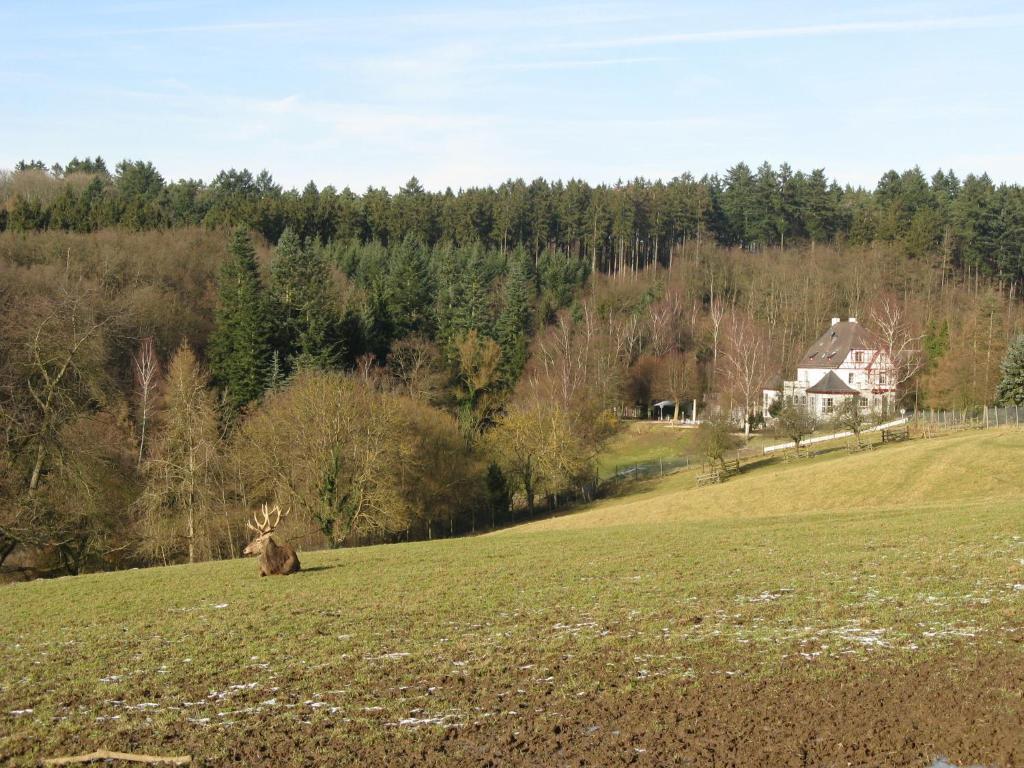 Waldhotel Forsthaus Remstecken Koblenz  Dış mekan fotoğraf